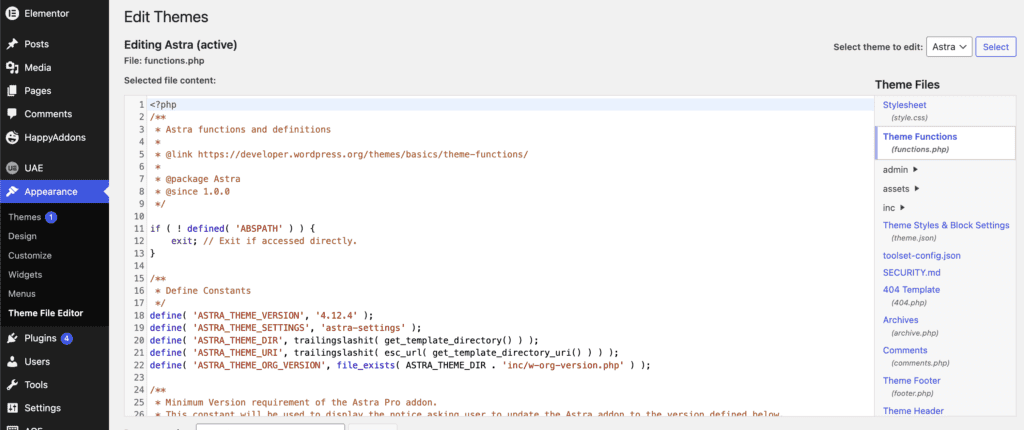 Theme's functions.php